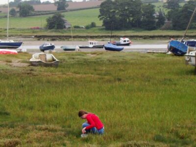Samphire: A Superfood from Wild Shores Image